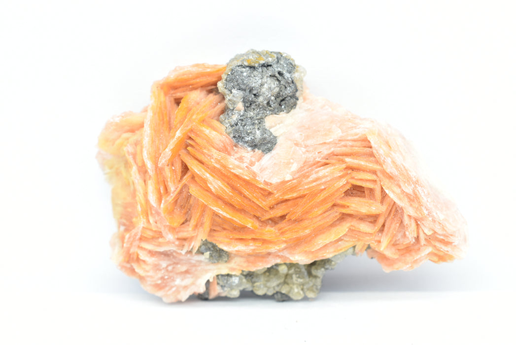 Cristalli di Barite