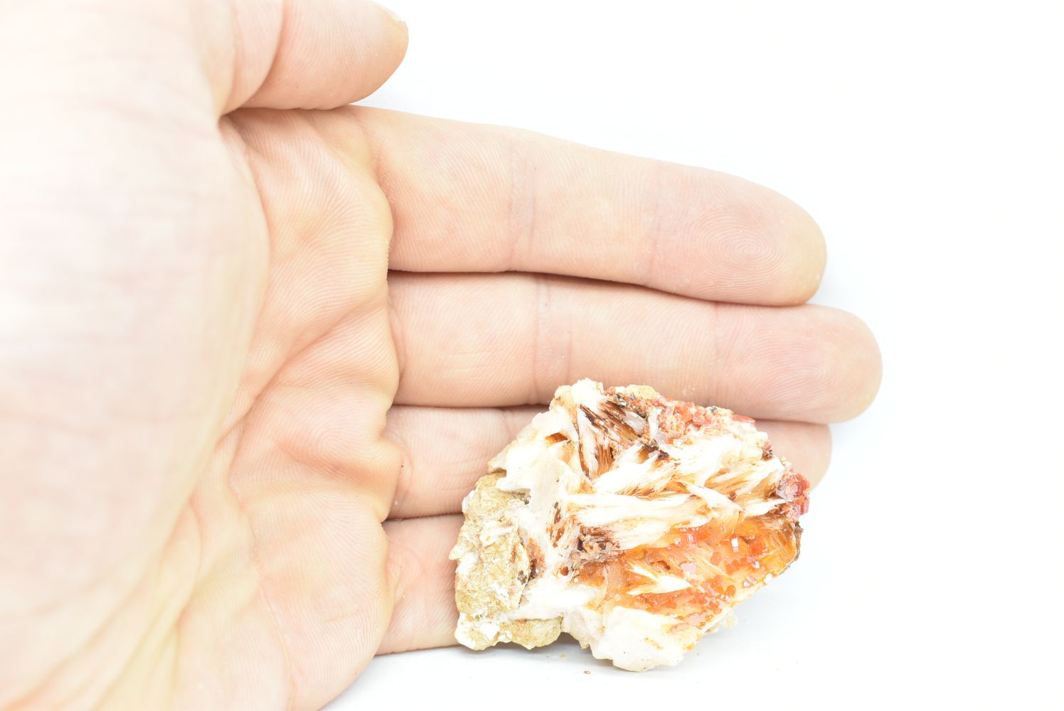 Vanadinite su Barite