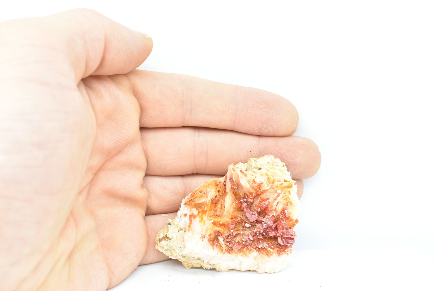 Vanadinite su Barite