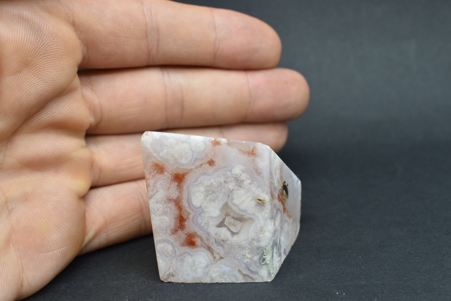 Agata Sakura Forma Libera