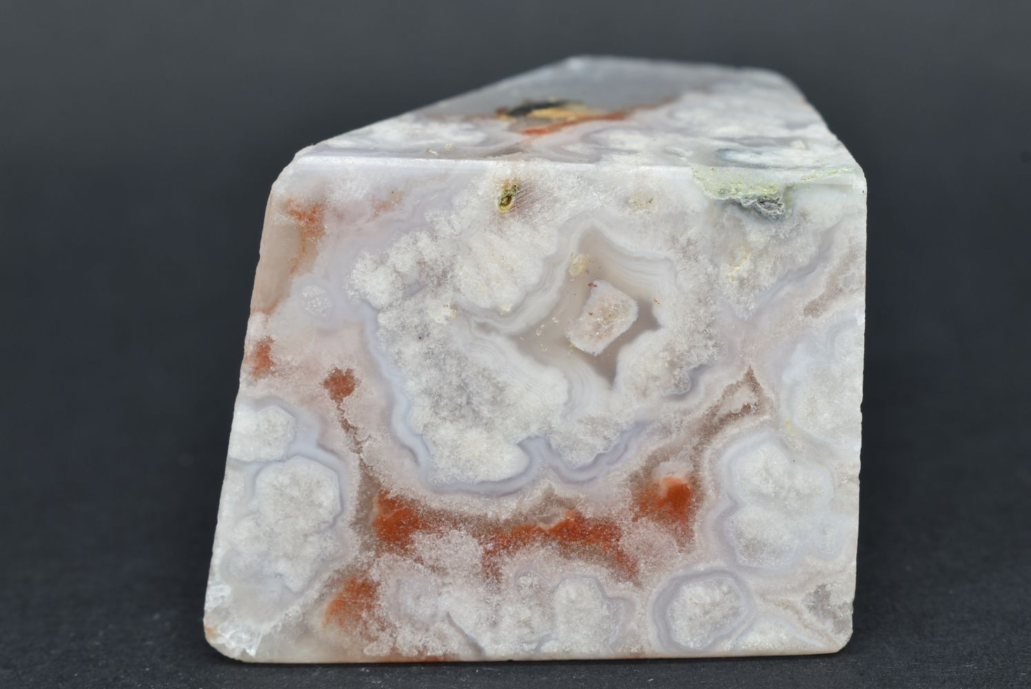 Agata Sakura Forma Libera