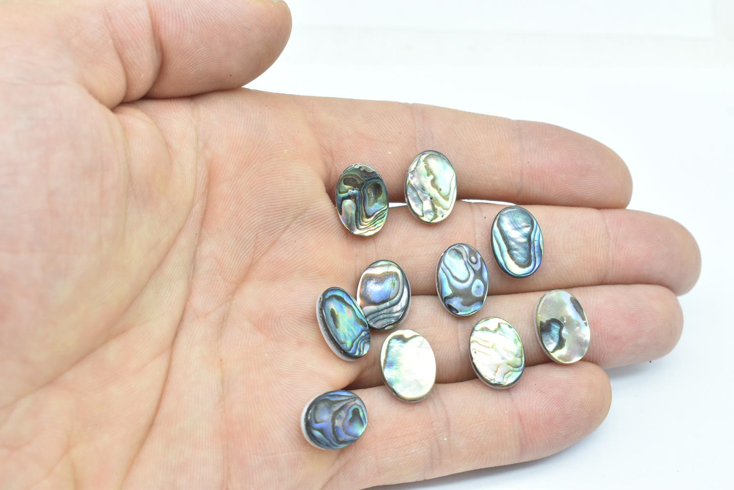 Cabochon di conchiglia abalone 14x10 mm