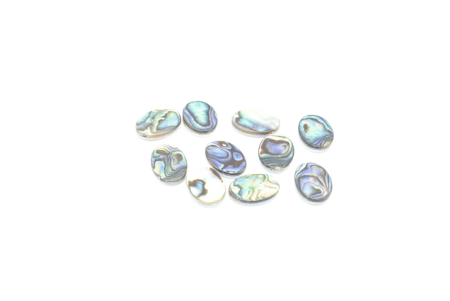 Cabochon di conchiglia abalone 14x10 mm