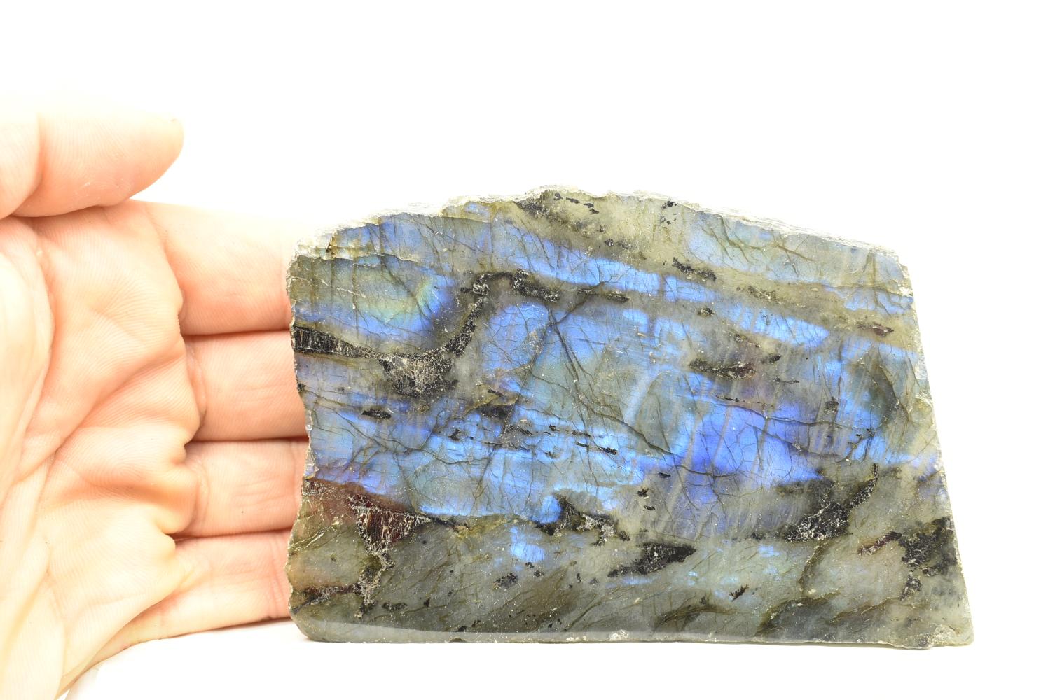 Labradorite Fetta 10.9 cm