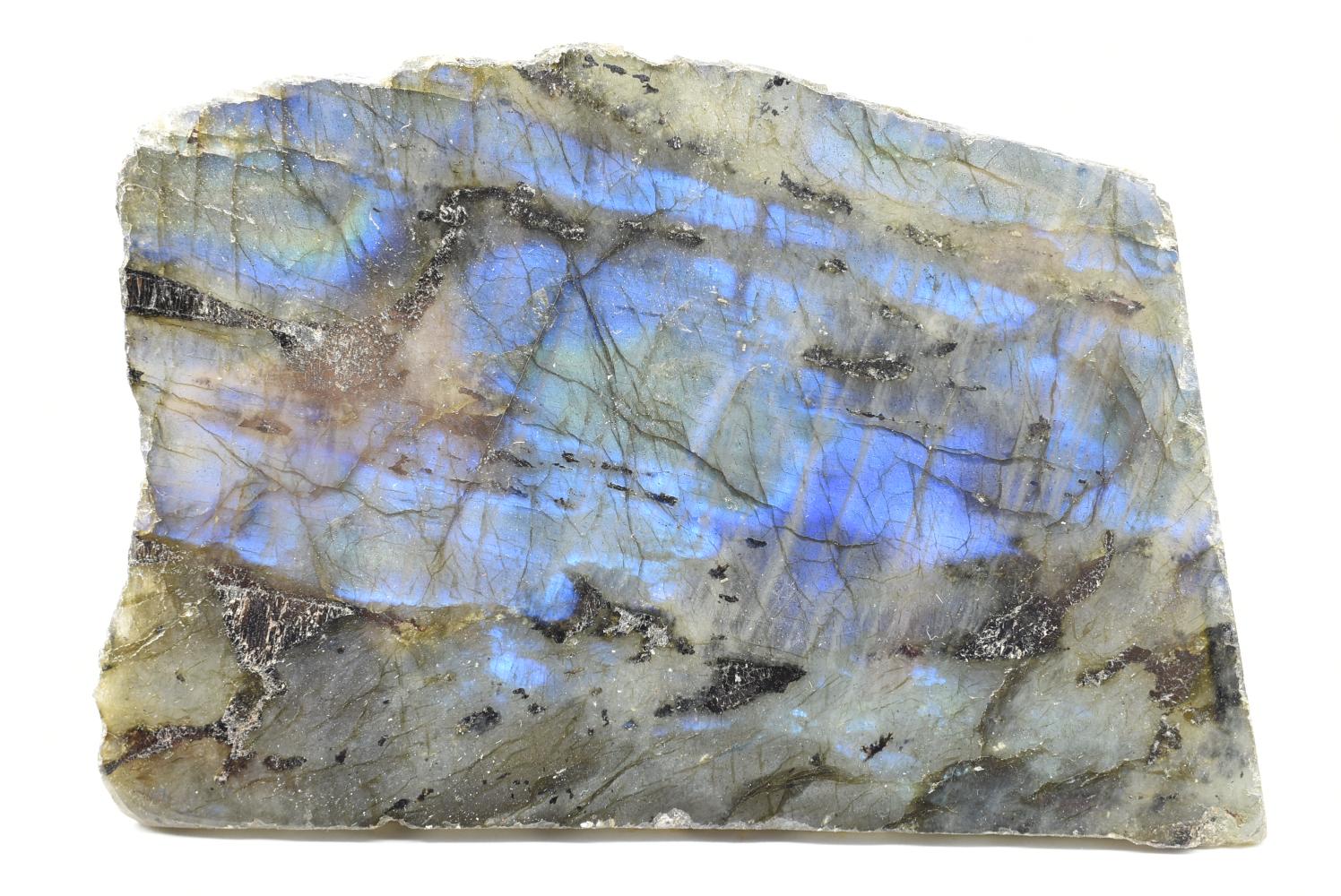 Labradorite Fetta 10.9 cm