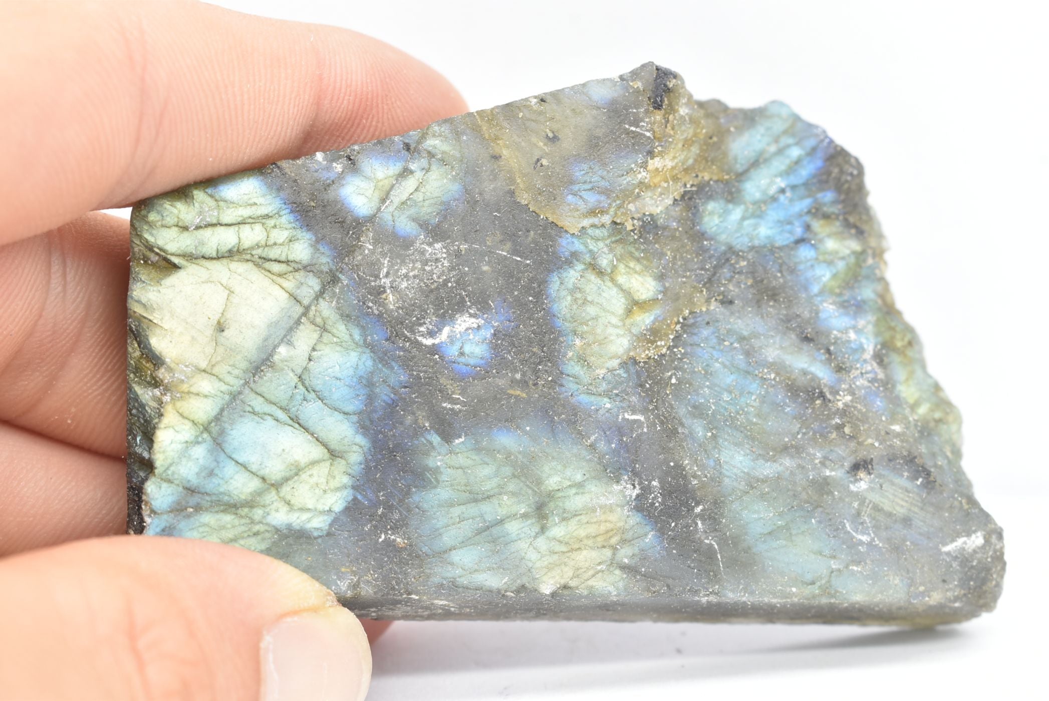 Labradorite Fetta 7.9 cm