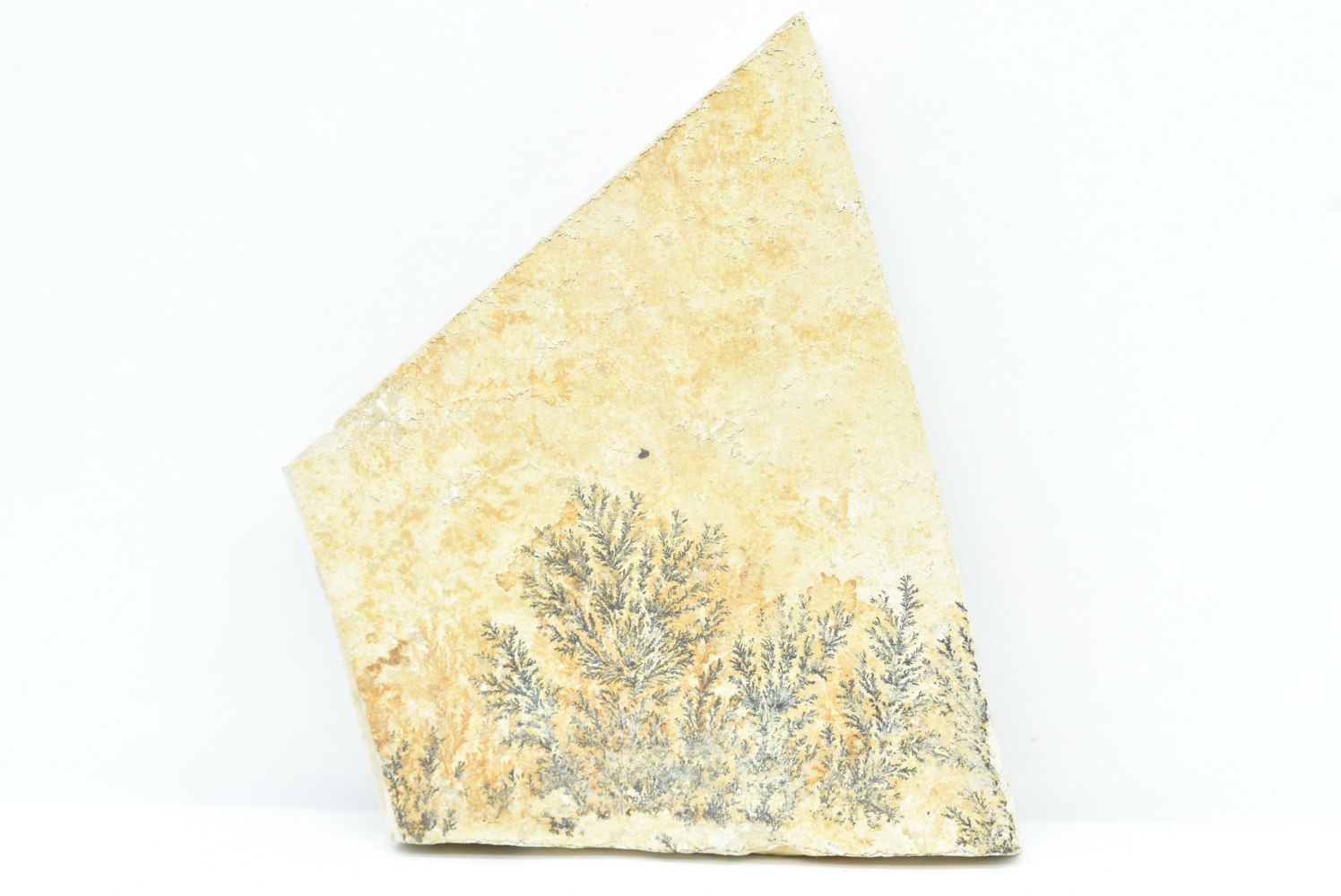 Dendrite di Manganese