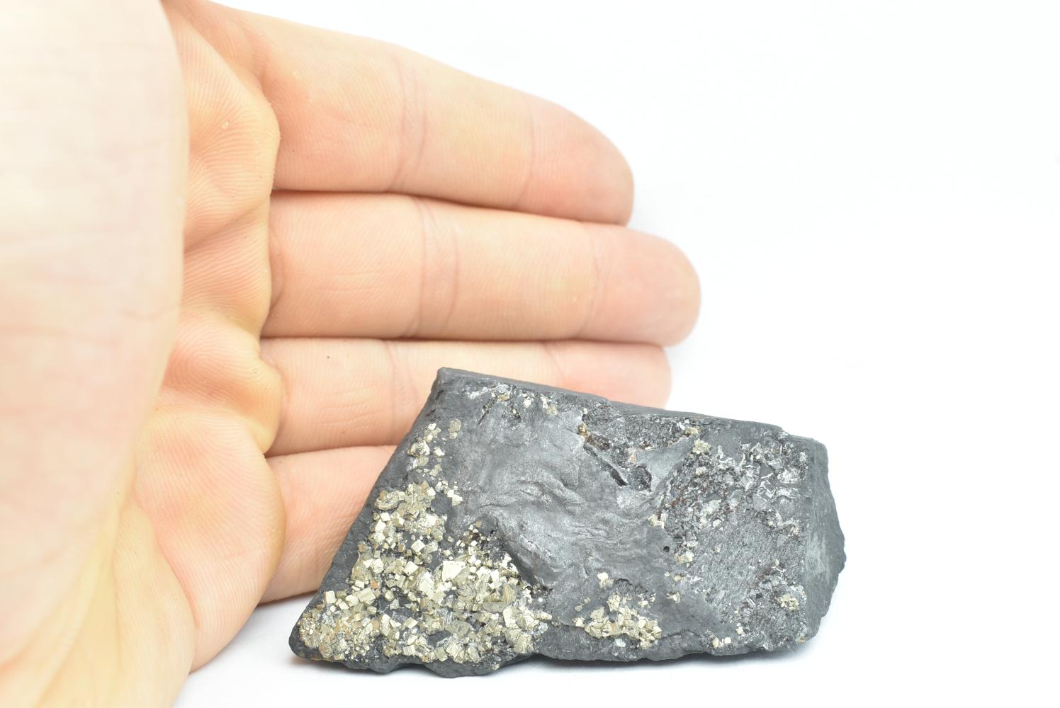 Shungite con Pirite