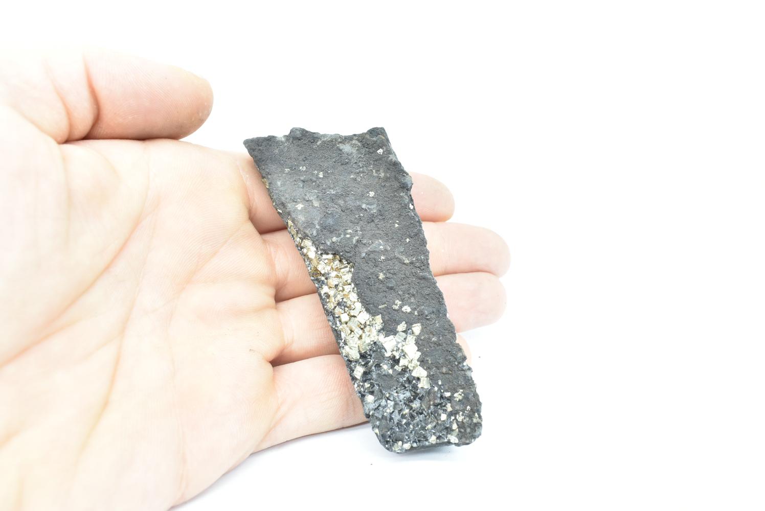 Shungite con Pirite