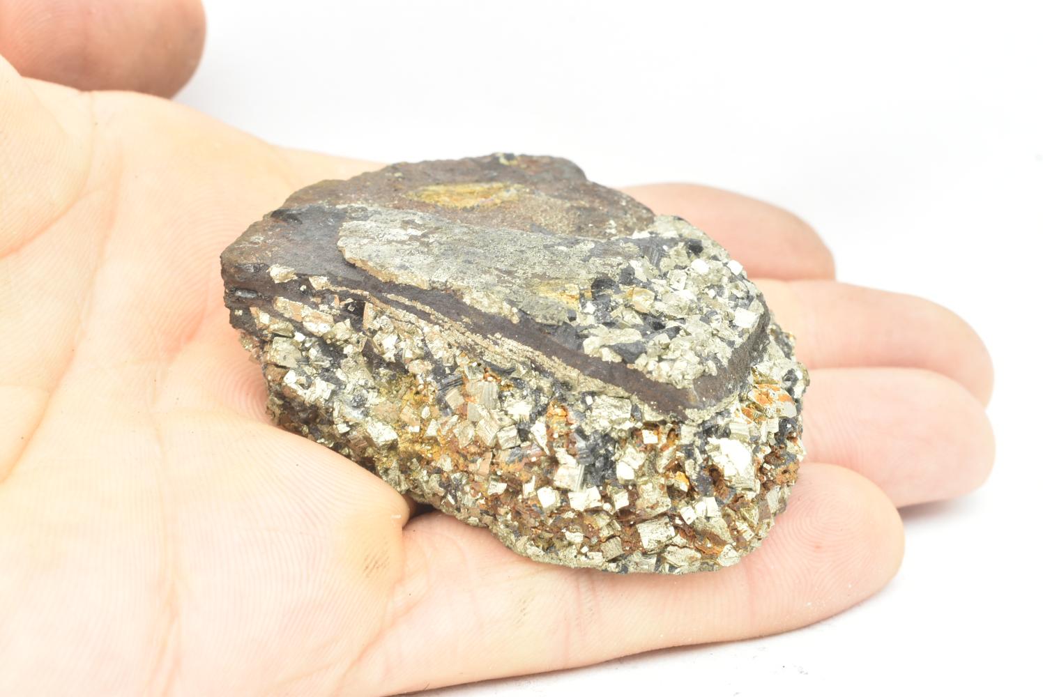 Shungite con Pirite