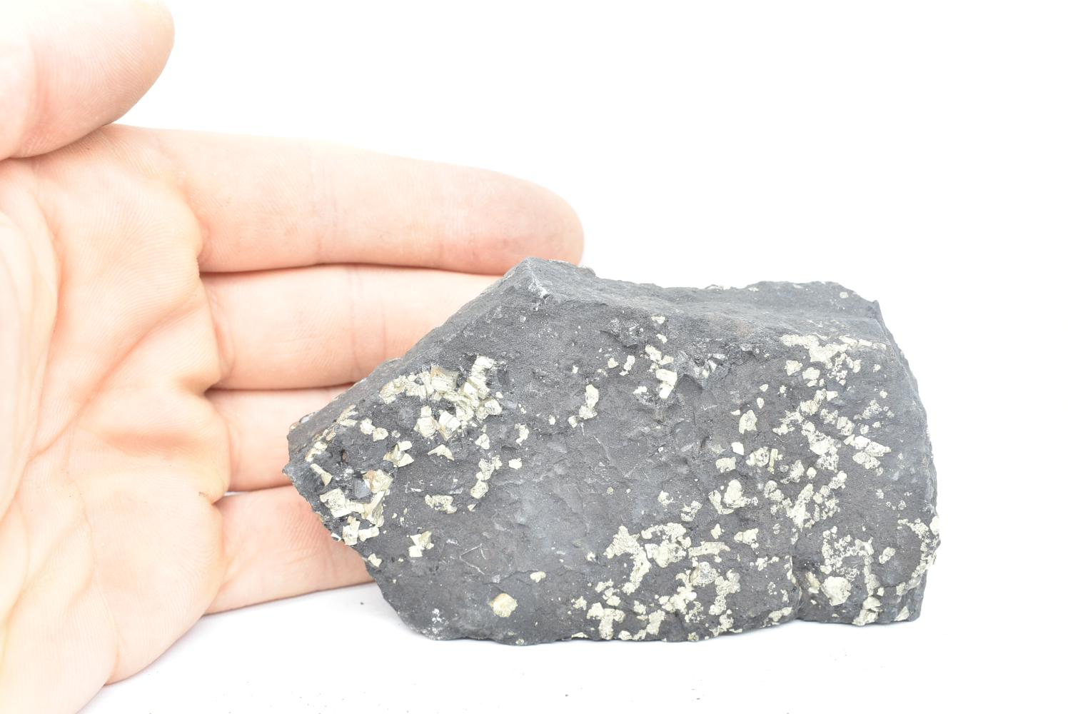 Shungite con Pirite