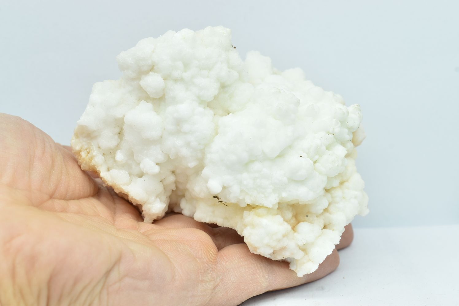 White Aragonite