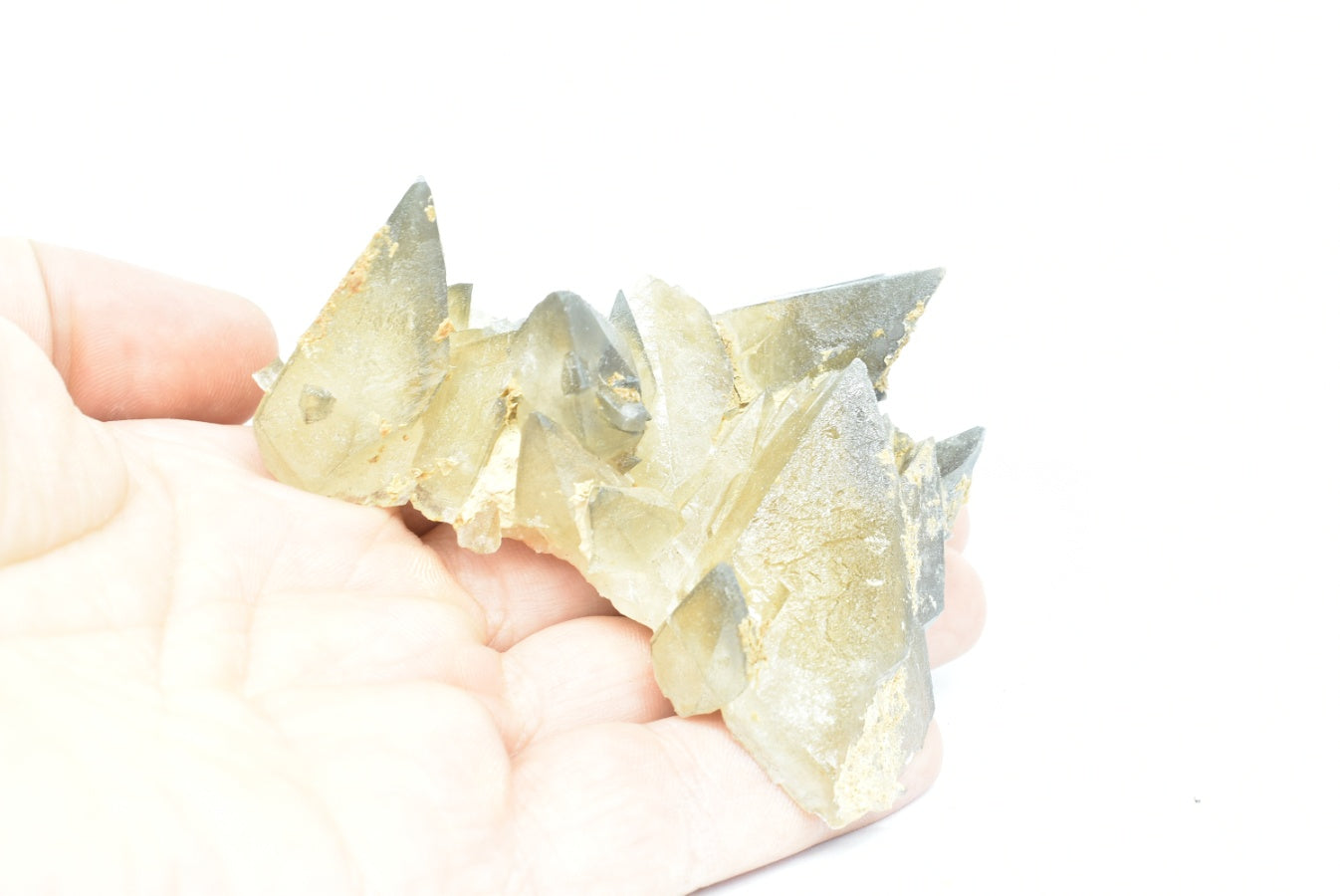 Cluster of scalenohedral calcite - Calcite Dogtooth