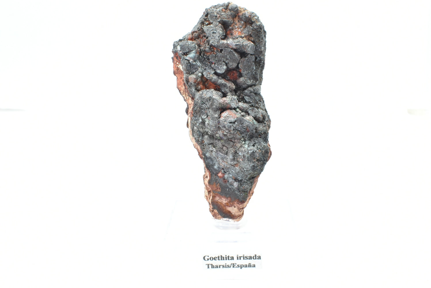 Goethite di Tharsis