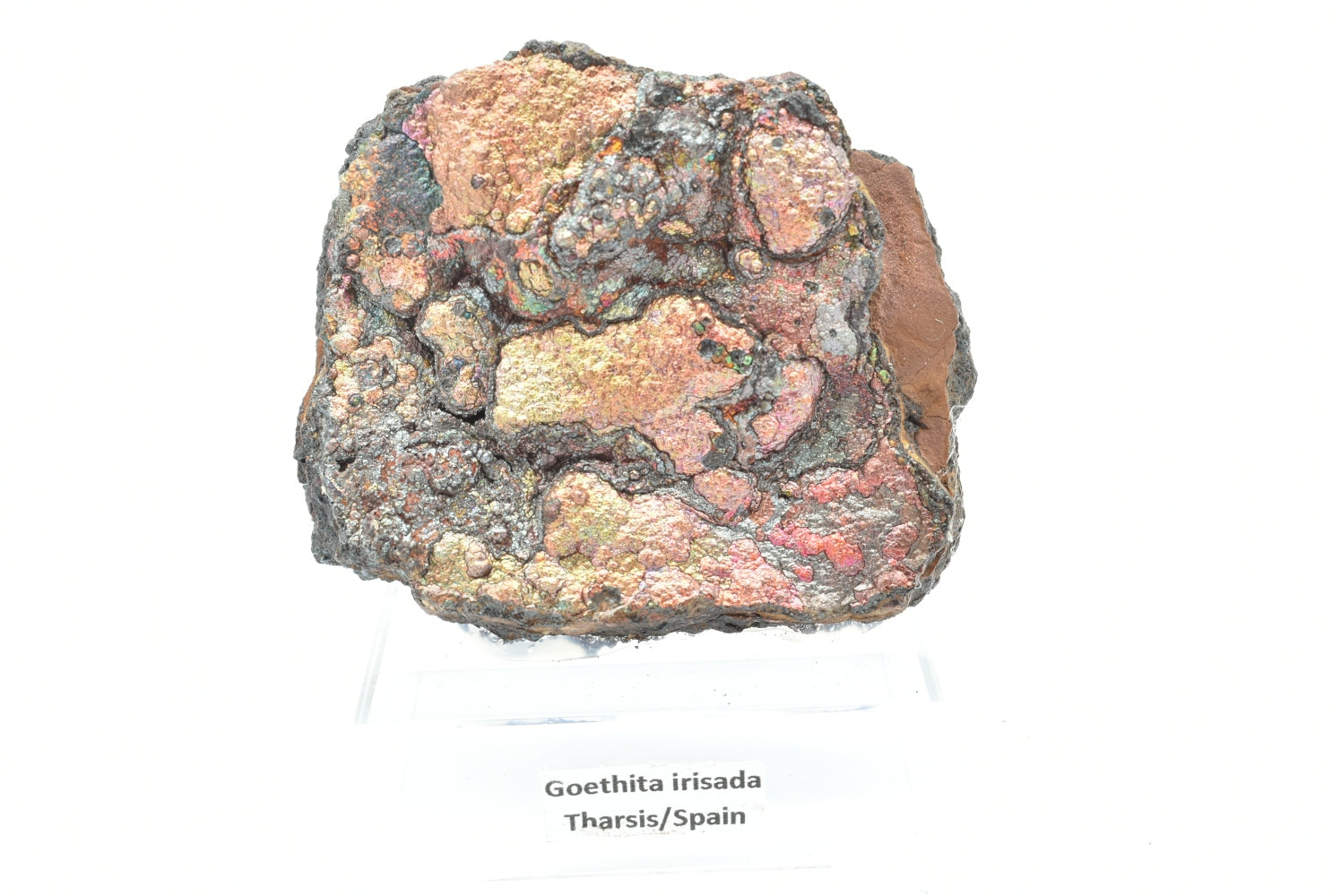 Goethite di Tharsis