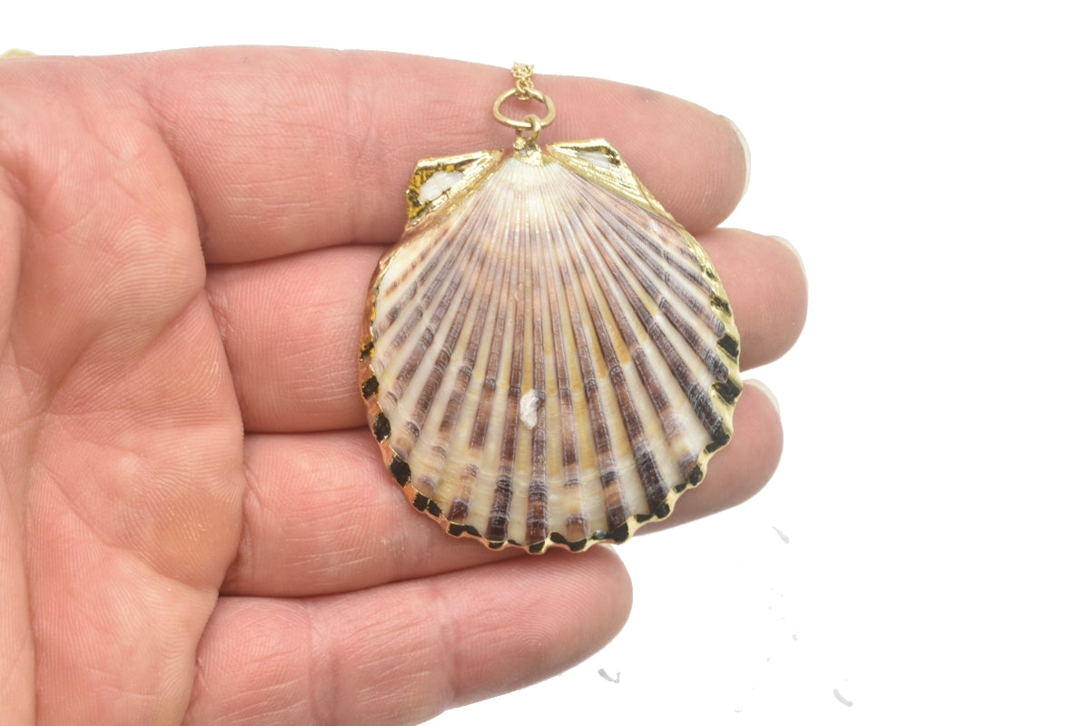 Sea Shell Pendant