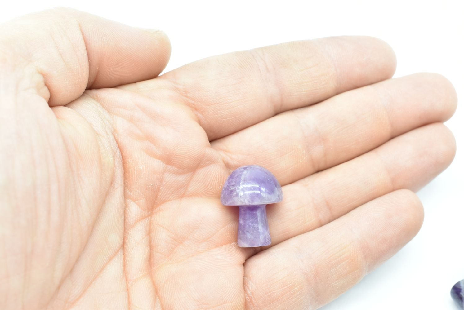 Amethyst Mushroom