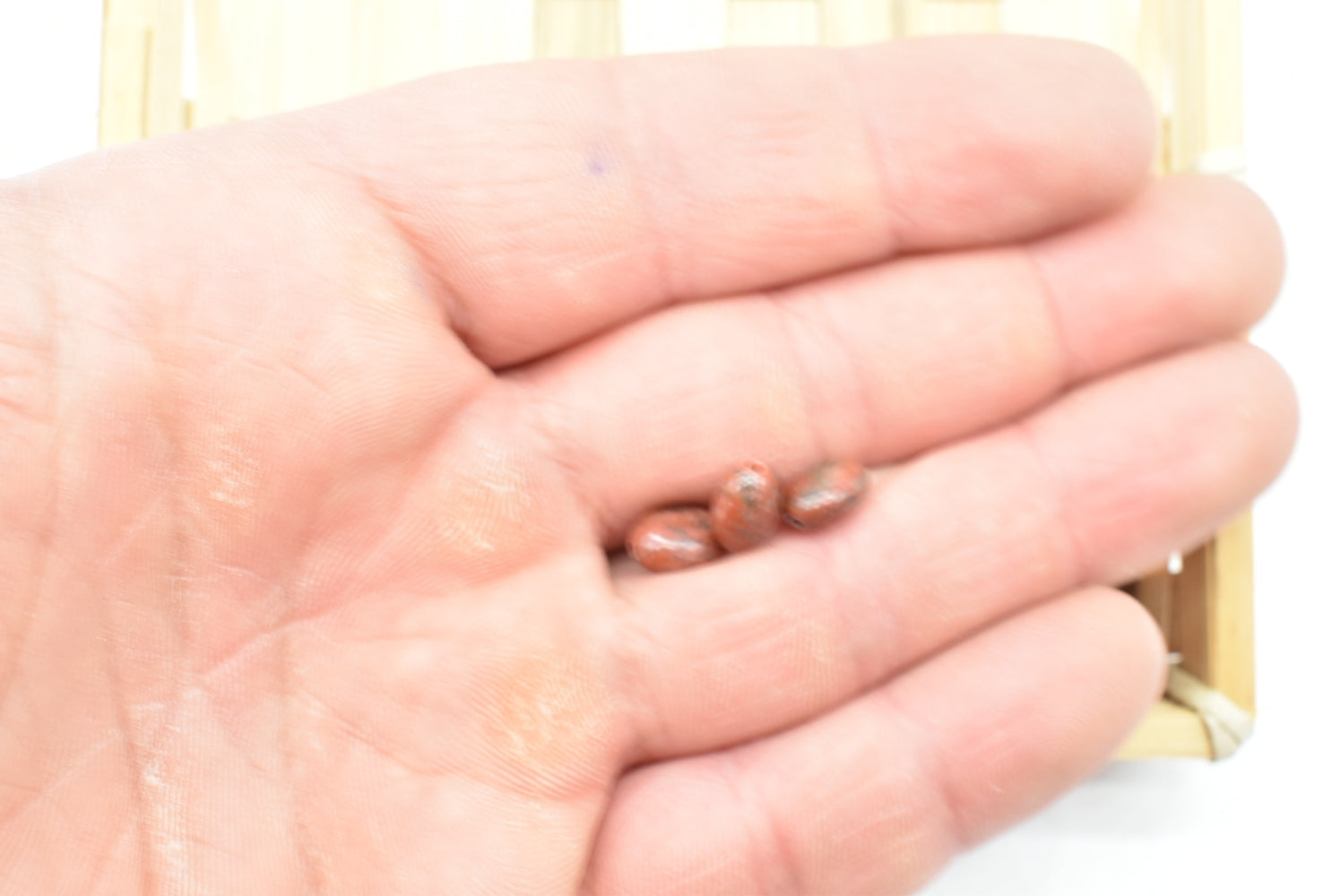 Perline di Diaspro Sesamo 8 mm Forate - 5 Perline